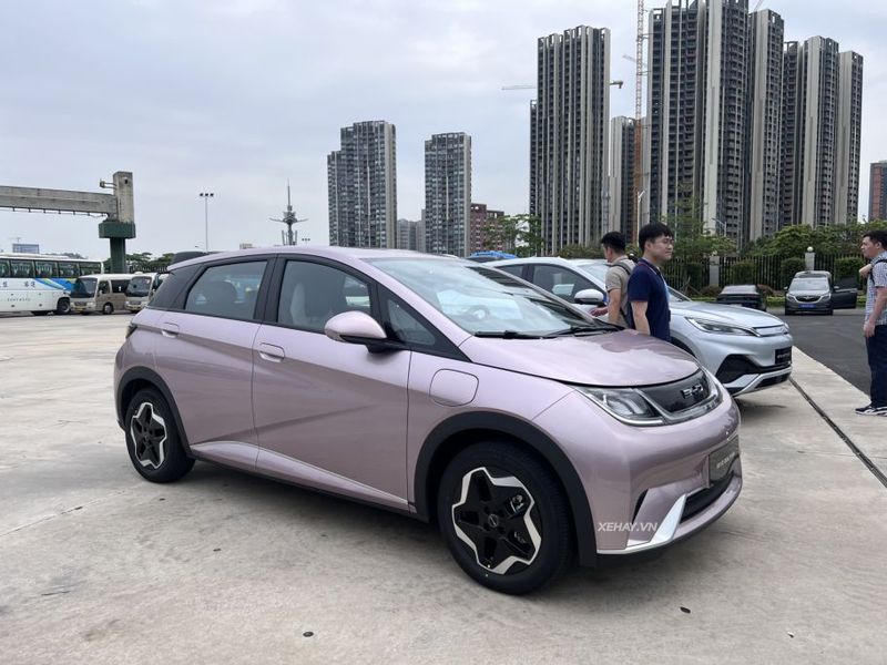 xehay byd 310524 3 BYD Dolphin tại Việt Nam có phạm vi hoạt động 405km/lần sạc